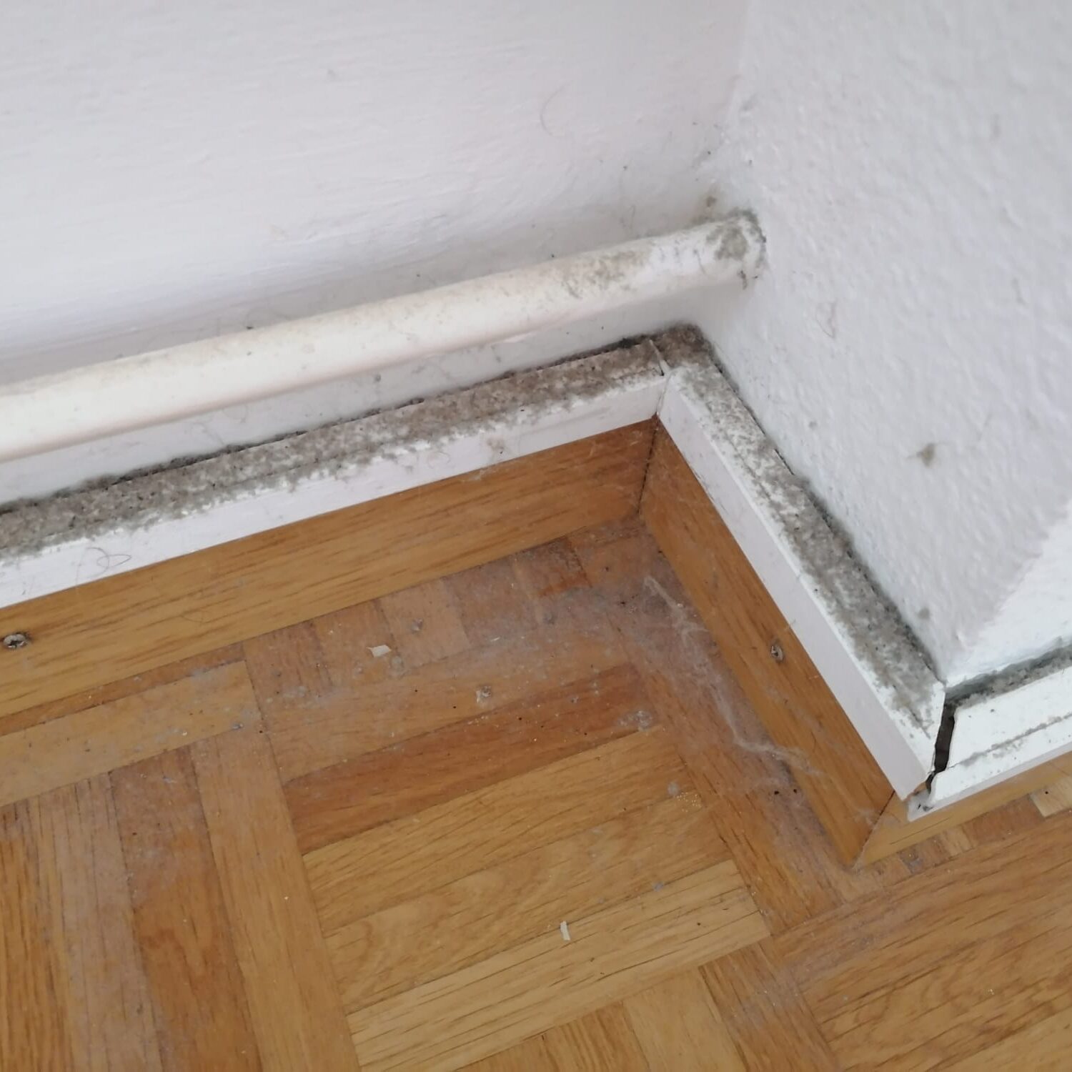 Starker Verschmutzungsgrad