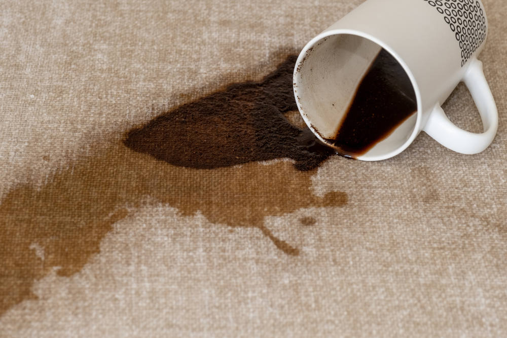 Getrockneter Kaffee auf dem Sofa