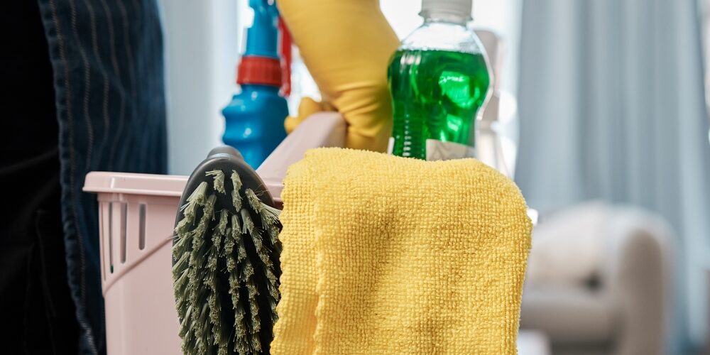 Equipment-für-professionell-Wohnungsreinigung