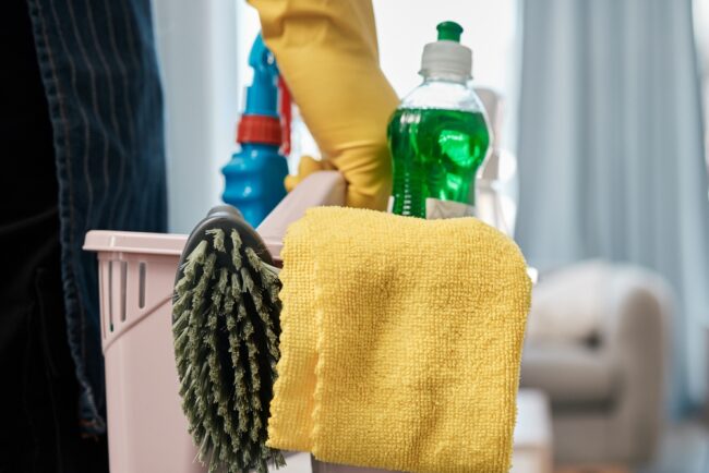 Equipment-für-professionell-Wohnungsreinigung