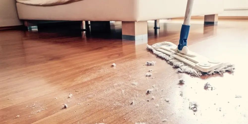 Staub-und-Schmutz–auf-einem-Holzboden-im-Schlafzimmer Staub-und-Schmutz--auf-einem-Holzboden-im-Schlafzimmer