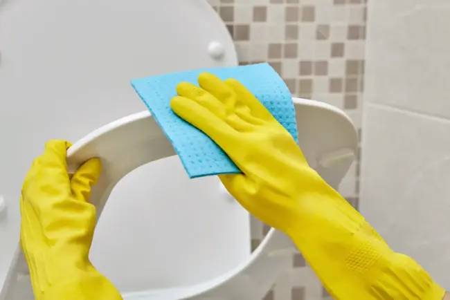 Toilettendeckel-Reinigen