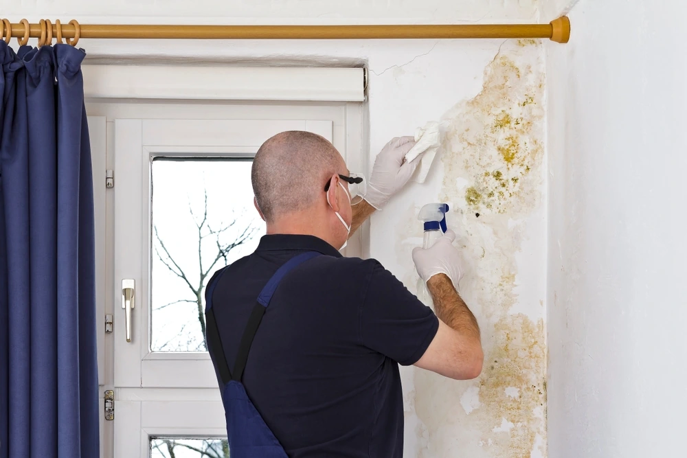 Reinigungskraft behandelt Schimmelstelle Reinigungskraft behandelt Schimmelstelle