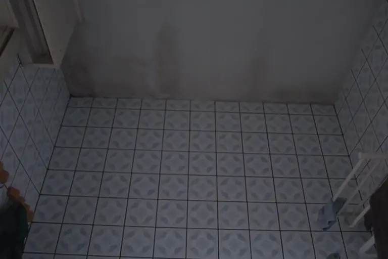 Schimmelbedeckte Badezimmerdecke-neu